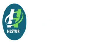 HESTUR ENERGY PRIVATE LIMITED