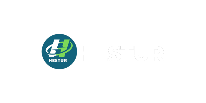 HESTUR ENERGY PRIVATE LIMITED